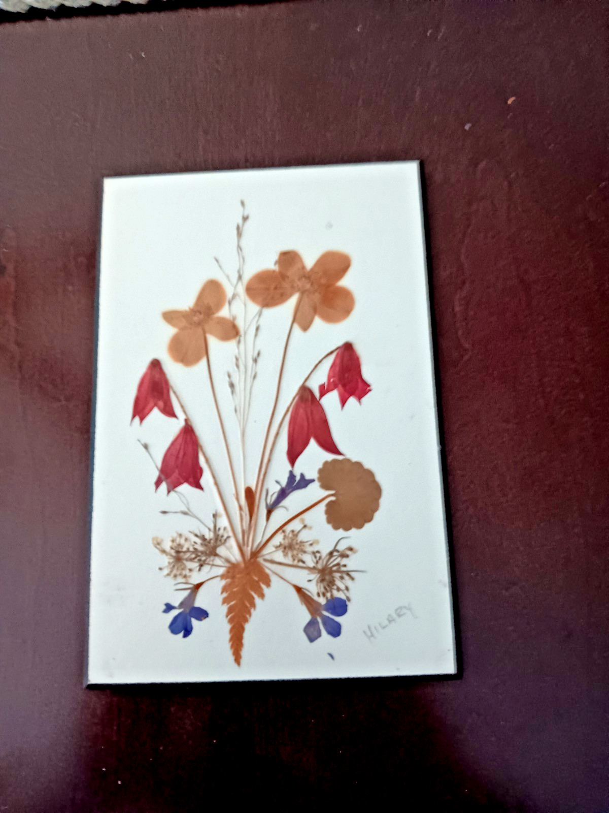 Pressed Flowers Wall Plaque 4×6 Inches Earthtone Colors Canada