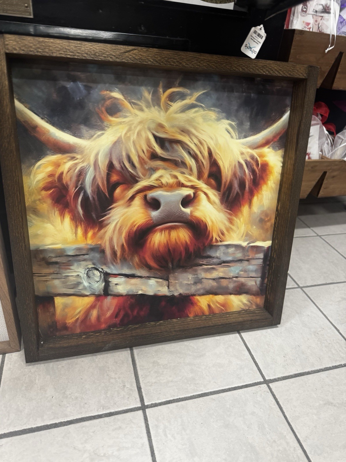 18×18 Inch Highland Cow Picture