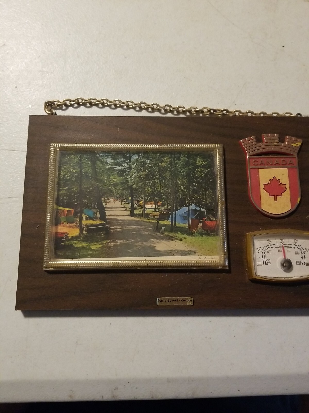 Vintage Parry Sound, Canada Souvenir Wall Plaque With Thermometer