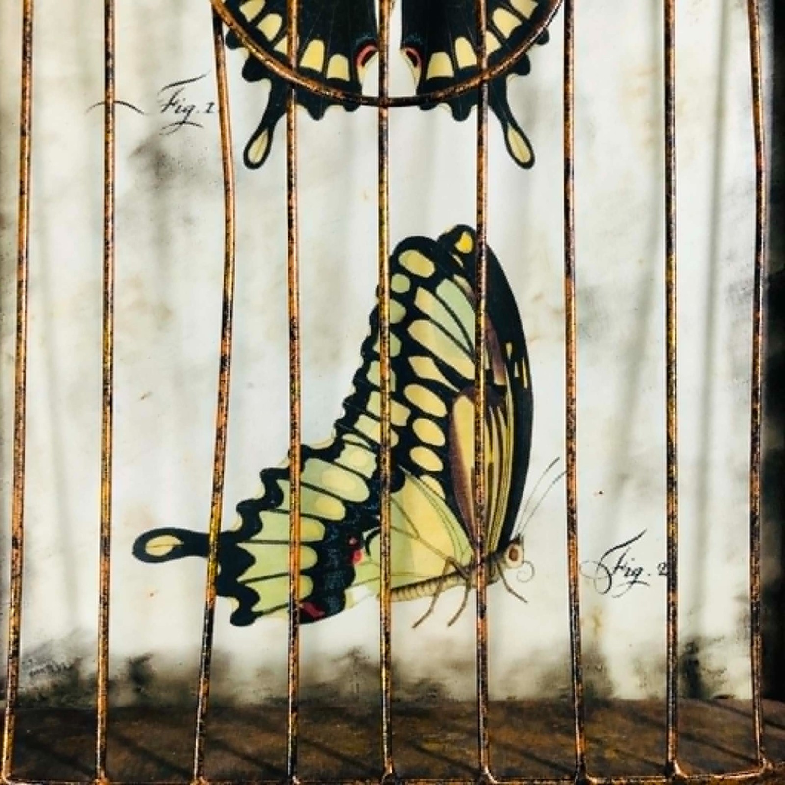 Vintage Butterfly Birdcage Wall Art Metal Frame Botanical Illustration Decor