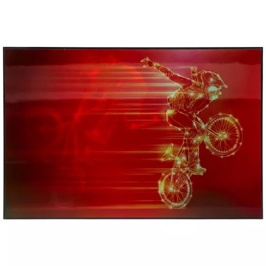 BMX 3D Lenticular Wall Art Motion Picture Bike 15×23 Wood Frame Color Changing