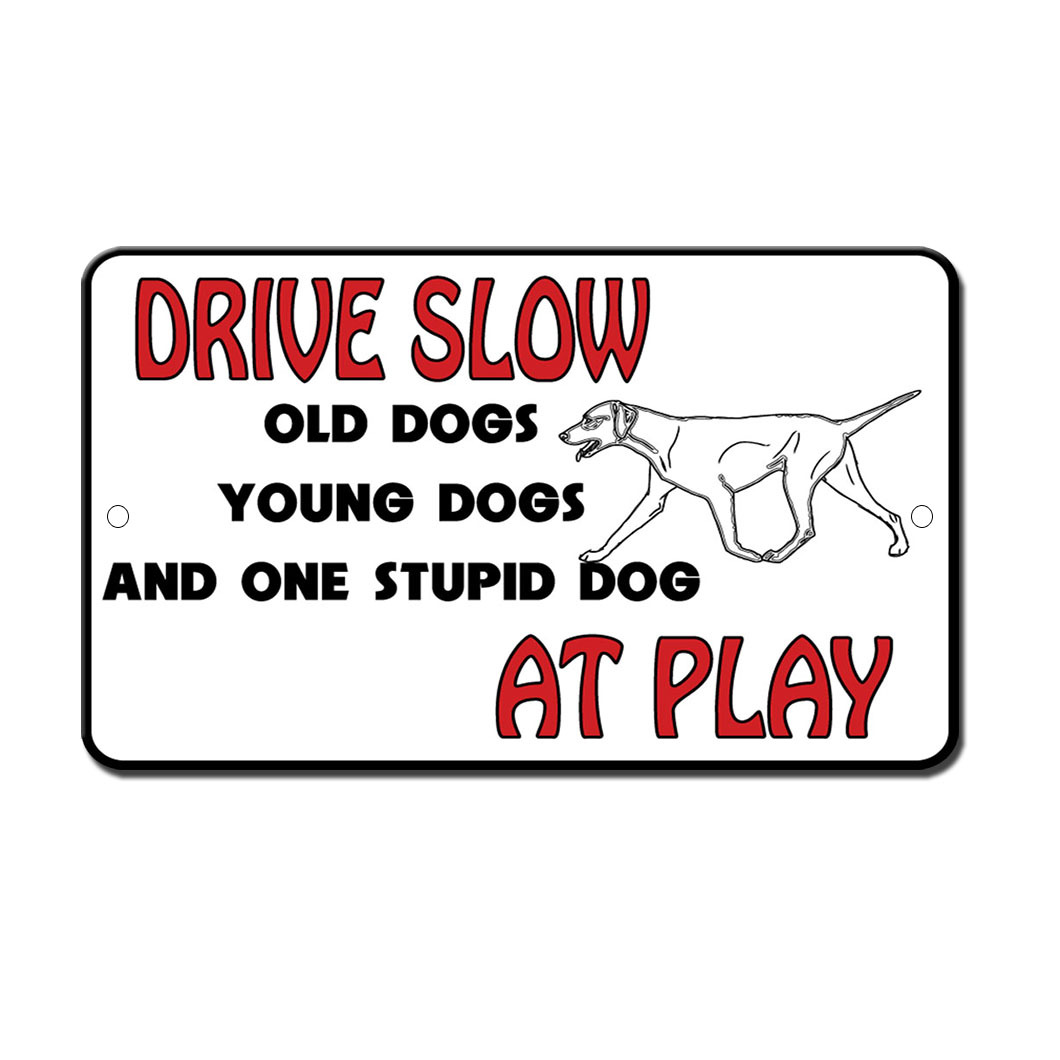 Drive Slow Young Old Stupid Dog At Play Novelty Funny Metal Sign 8 in x 12 in