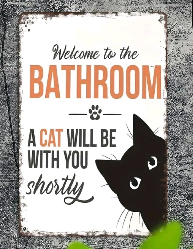Funny Cat Bathroom Sign 8×12 Metal Wall Decor Retro Black Cat Gift House Humor